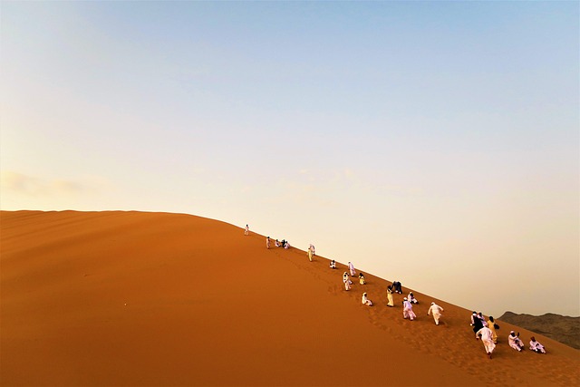 desert landscape