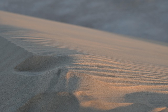 desert landscape