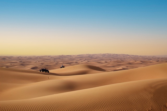 desert landscape