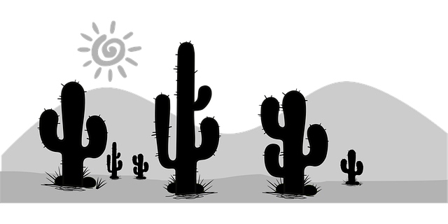 desert-landscape-640x480-99988525.png