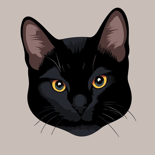 face-640x480-46157081.jpeg