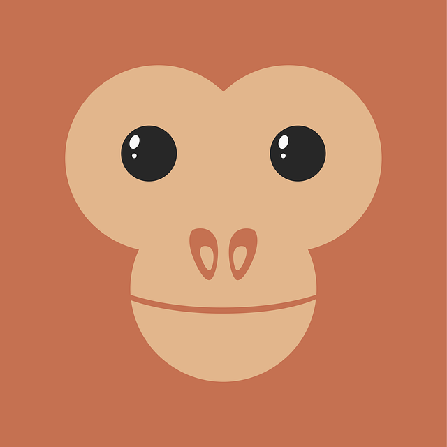 face