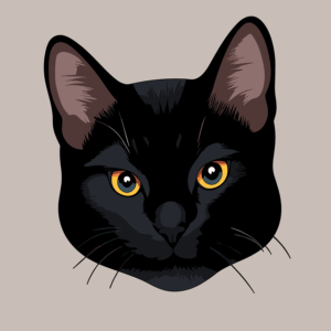 face-640x480-89102650.png