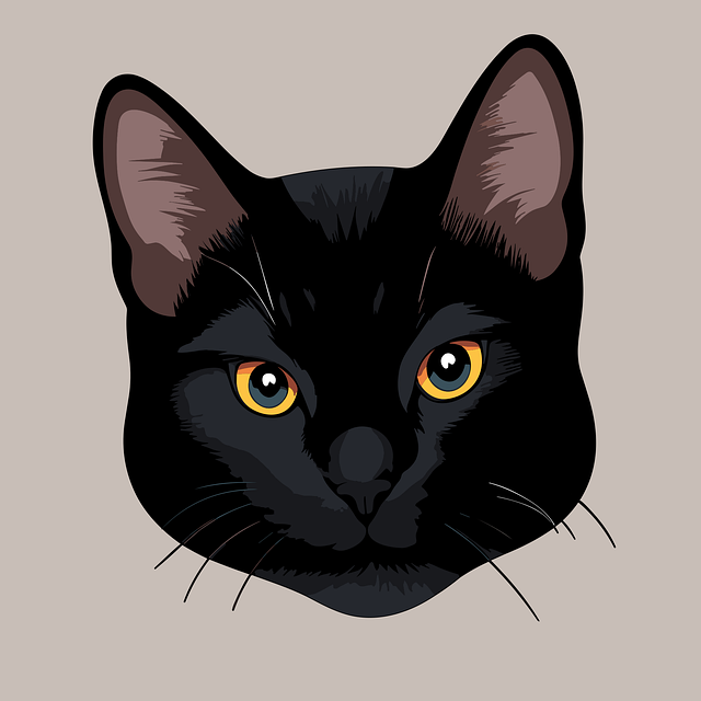 face-640x480-89102650.png