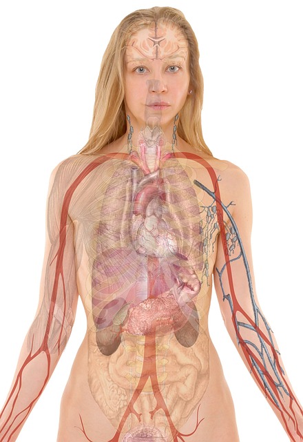 human