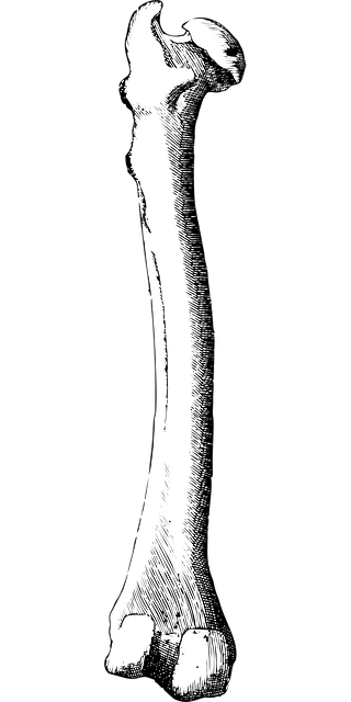 human