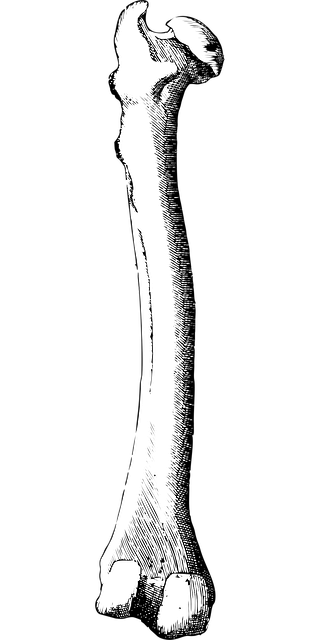 human