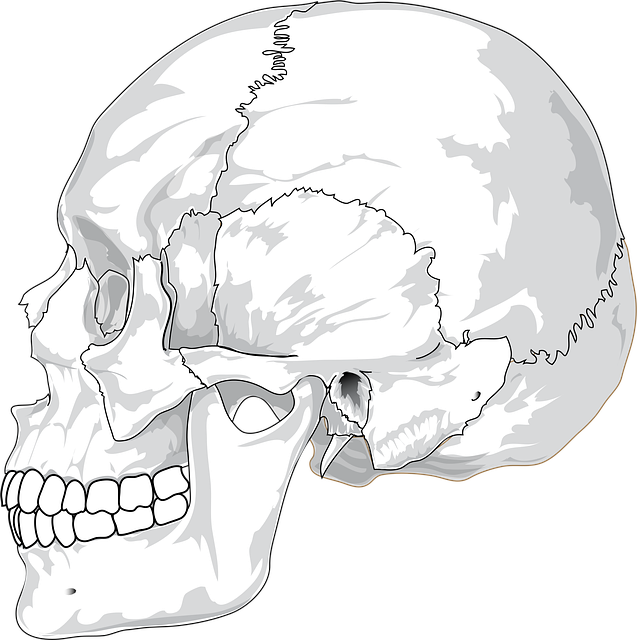 human