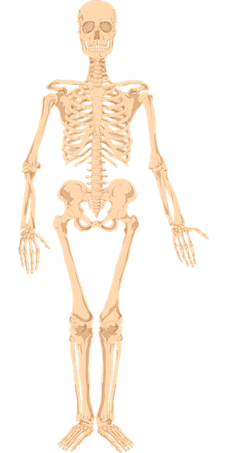 human