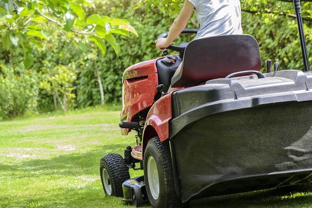 lawn-care-640x480-53727649.jpeg