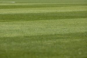 lawn-care-640x480-95980850.jpeg