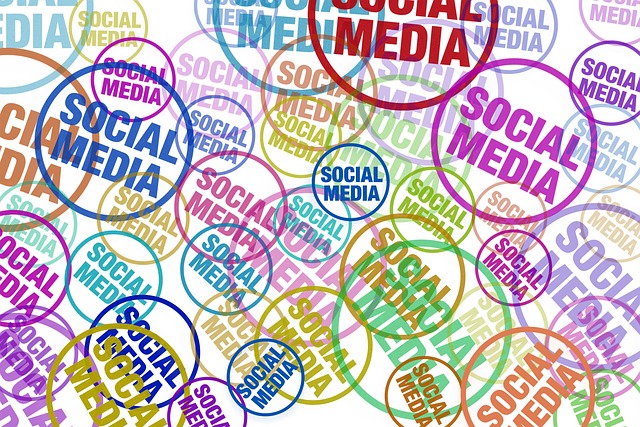 social network
