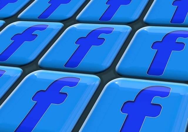 social network