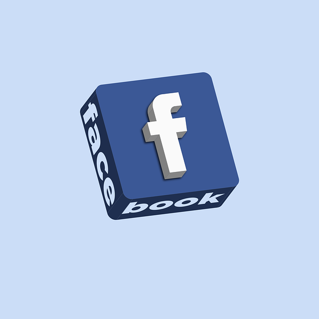 social network