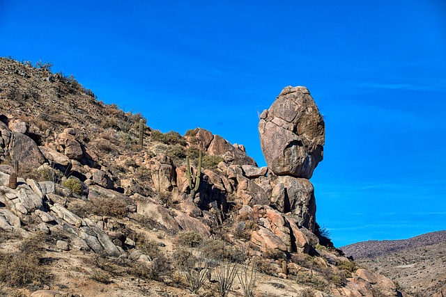 arizona