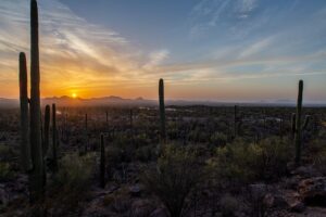 arizona-landscape-640x480-13575848.jpeg
