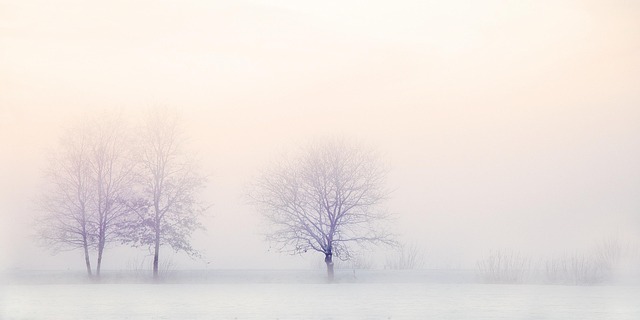 beauty-640x480-35740845.jpeg