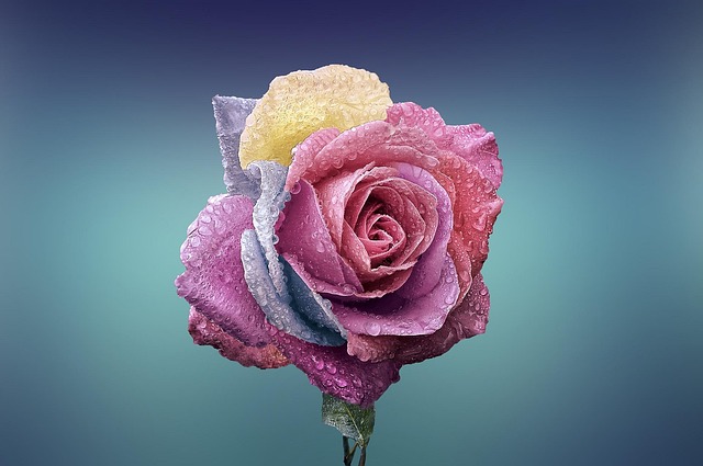 beauty-640x480-44224398.jpeg