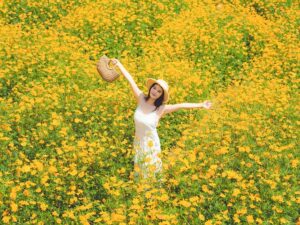 beauty-640x480-68944596.jpeg