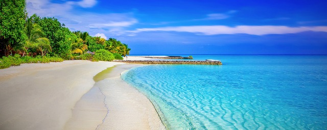 blue-640x480-29840747.jpeg