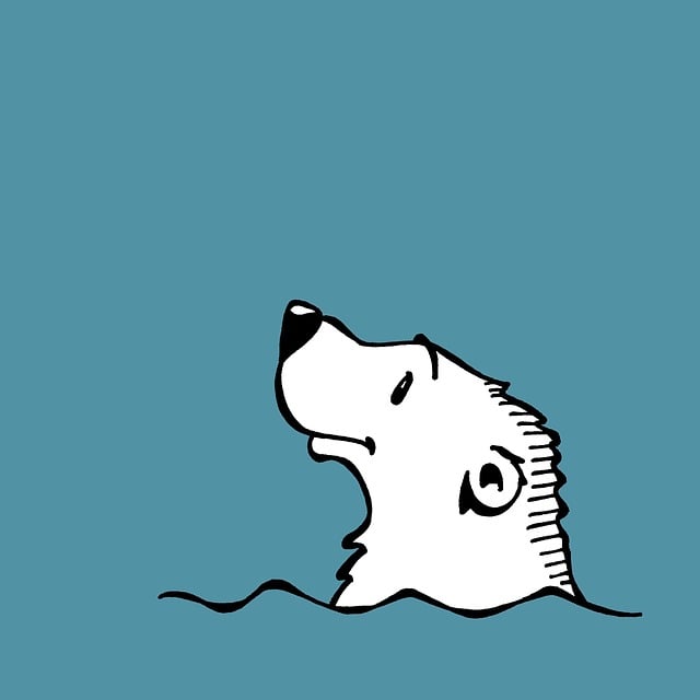 blue-640x480-31644793.jpeg