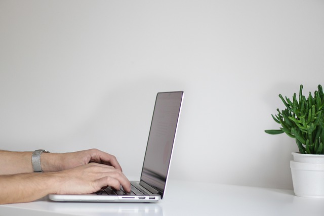 Local SEO Agency: Map Offerings for Geographical Visibility