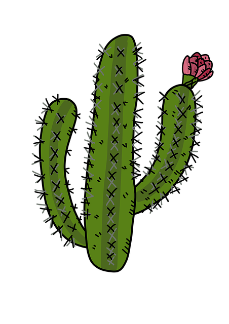 desert-640x480-12614457.png