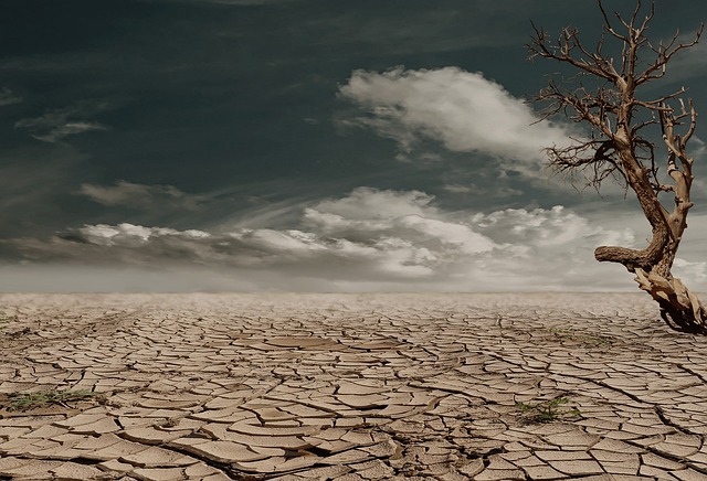 desert-640x480-64626807.jpeg