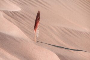 desert-640x480-94563592.jpeg