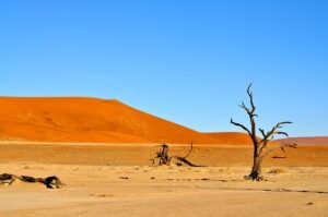 desert-640x480-98246141.jpeg