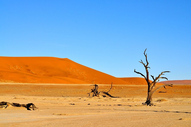 desert-640x480-98246141.jpeg