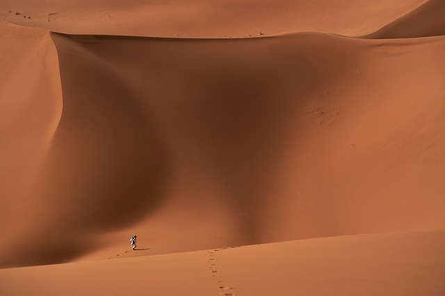 desert landscape