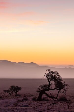 desert-landscape-640x480-42895976.jpeg