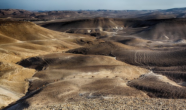 desert landscape