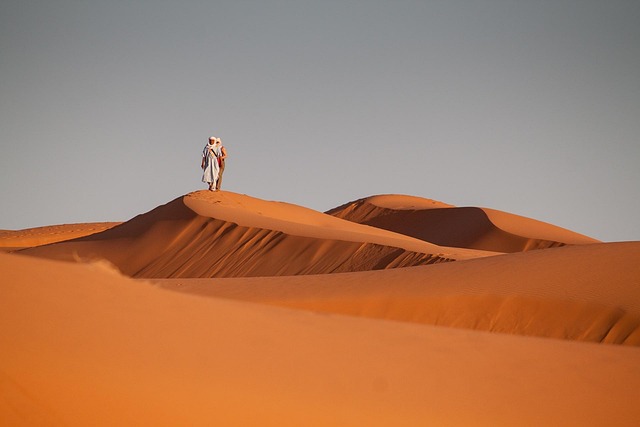 desert landscape