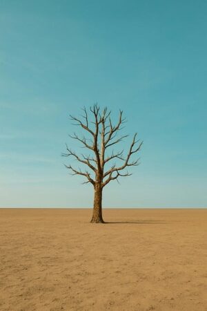 desert-landscape-640x480-97744633.jpeg