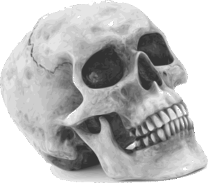 human-640x480-36049566.png