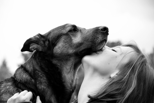 human-640x480-63672012.jpeg