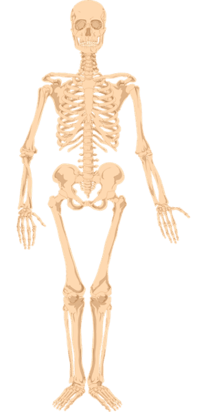 human-640x480-71857388.png