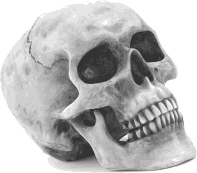 human