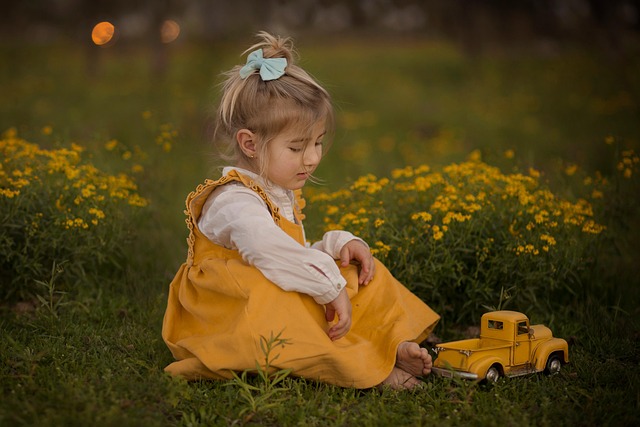 lawn-care-640x480-249705.jpeg