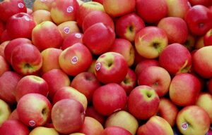 local-food-640x480-24038179.jpeg