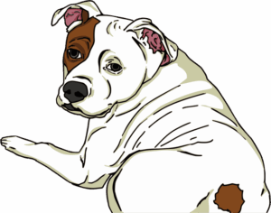 pet-sitting-640x480-87860333.png