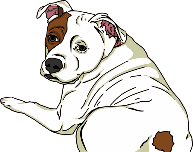 pet-sitting-640x480-87860333.png