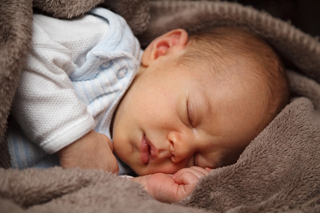 portrait-640x480-58564278.jpeg