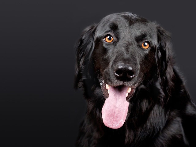 portrait-640x480-69896050.jpeg