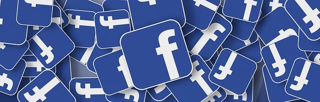social network