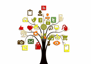 social-network-640x480-13284905.png