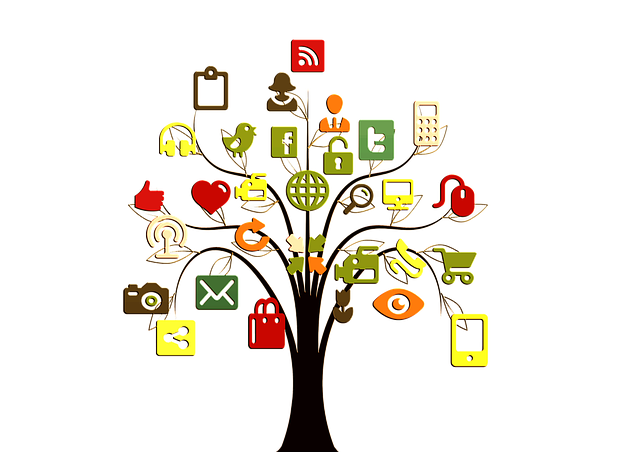 social-network-640x480-13284905.png