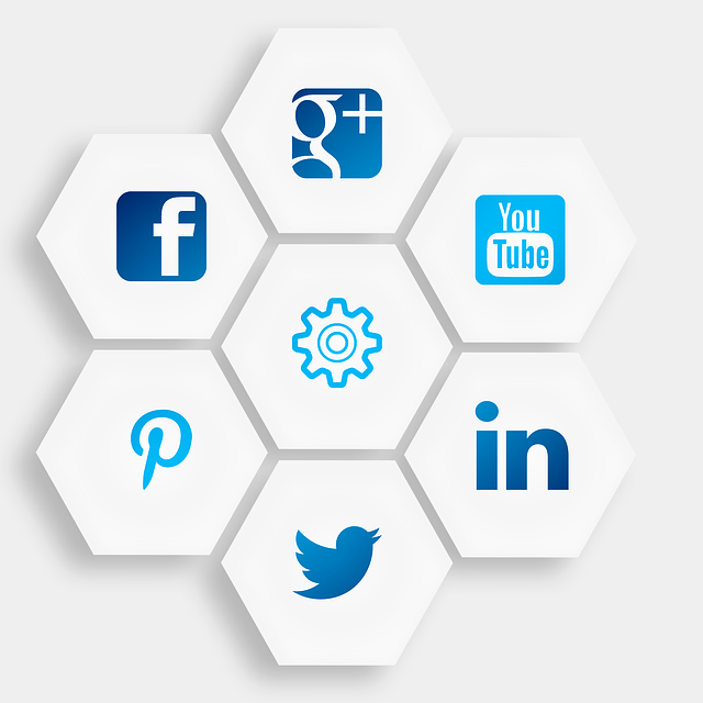 social network
